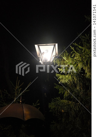Bright light from a lamp illuminates green conifer branches. Bright light from a lamp illuminates green conifer branches. 141071541