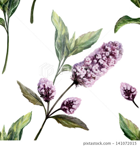 Mint seamless pattern watercolor illustration. Mentha medicinal herb blossom for refreshing pharmacy branding, stress relief tea packaging, organic cooling cosmetics design, herbal wellness print Mint seamless pattern watercolor illustration. Mentha medicinal herb blossom for refreshing pharmacy branding, stress relief tea packaging, organic cooling cosmetics design, herbal wellness print 141072015