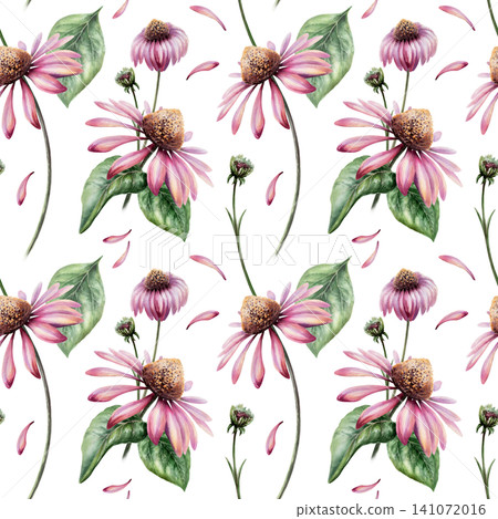 Echinacea seamless pattern watercolor illustration. Purple coneflower blossom for organic skin care cosmetics packaging, natural beauty branding, floral body lotion print, wellness backdrop Echinacea seamless pattern watercolor illustration. Purple coneflower blossom for organic skin care cosmetics packaging, natural beauty branding, floral body lotion print, wellness backdrop 141072016