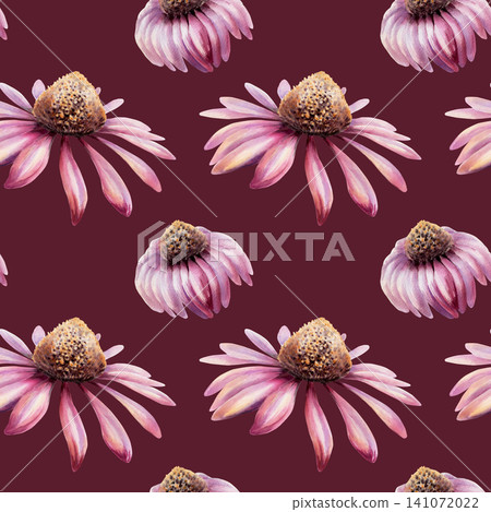 Echinacea seamless pattern watercolor illustration. Purple coneflower blossom for health immunity pharmacy branding, cold remedy packaging, medical tea design, organic herbal wellness wallpaper Echinacea seamless pattern watercolor illustration. Purple coneflower blossom for health immunity pharmacy branding, cold remedy packaging, medical tea design, organic herbal wellness wallpaper 141072022