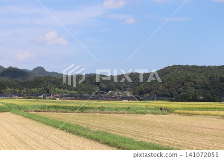 秋日的天空和綿延在群山間的稻田美景。 秋日的天空和綿延在群山間的稻田美景。 141072051