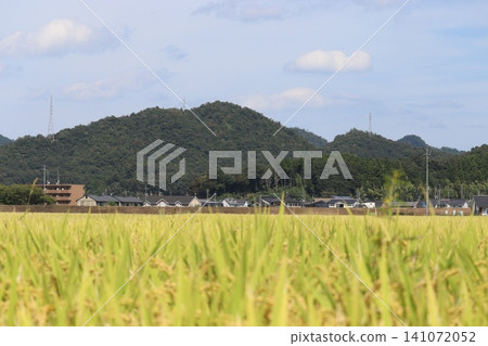 秋日的天空和山脈映襯著鄉村景色，在豐收之前徐徐展開。 141072052