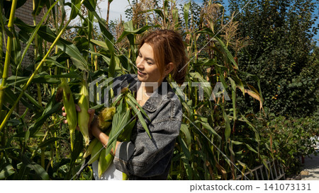 Happy woman holding freshly picked sweet corn cobs. Smiling adolescent with yellow corn harvest in hands. Organic farming and healthy eating concept. Happy woman holding freshly picked sweet corn cobs. Smiling adolescent with yellow corn harvest in hands. Organic farming and healthy eating concept. 141073131