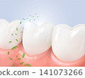 3D vector illustration of clean white teeth and healthy pink gums with fresh mint leaves and bubbles for dental care product design. 141073266