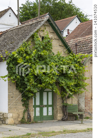 Building with grape vine and green door in Villanykovesd 141074510