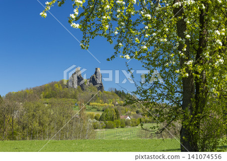Trosky Castle towers standing over blooming spring landscape Trosky Castle towers standing over blooming spring landscape 141074556