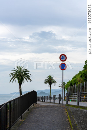 Coastal road at Horikiri Pass Coastal road at Horikiri Pass 141075081