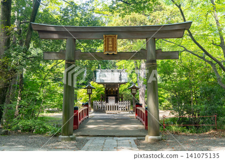 Munakata Shrine, a subsidiary shrine within the grounds of Musashi Ichinomiya Hikawa Shrine, Omiya Ward, Saitama City, Saitama Prefecture Munakata Shrine, a subsidiary shrine within the grounds of Musashi Ichinomiya Hikawa Shrine, Omiya Ward, Saitama City, Saitama Prefecture 141075135