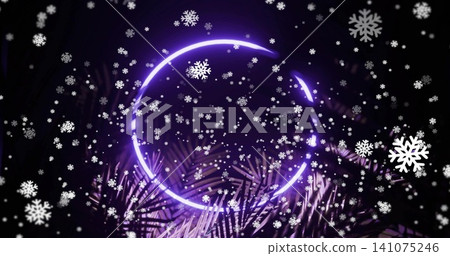 Glowing purple open neon ring centering scene in studio, with dark fronds and falling snowflakes Glowing purple open neon ring centering scene in studio, with dark fronds and falling snowflakes 141075246