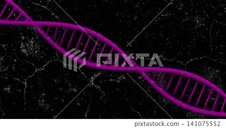 Glowing neon DNA double helix spiraling diagonally across black textured backdrop, magenta purple Glowing neon DNA double helix spiraling diagonally across black textured backdrop, magenta purple 141075552