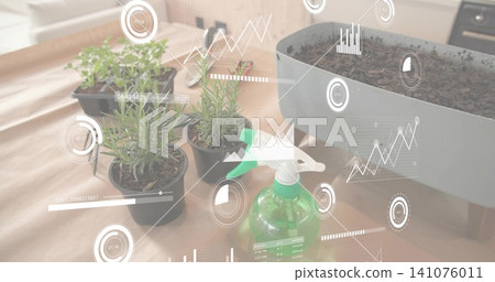 Showing 3 herb pots, green sprayer on kraft paper kitchen counter, seed tray or gray planter, HUD Showing 3 herb pots, green sprayer on kraft paper kitchen counter, seed tray or gray planter, HUD 141076011