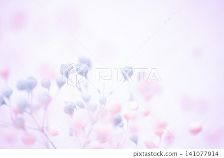 Baby's Breath - Delicate Background Material Baby's Breath - Delicate Background Material 141077914