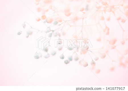 Baby's Breath - Delicate Background Material Baby's Breath - Delicate Background Material 141077917