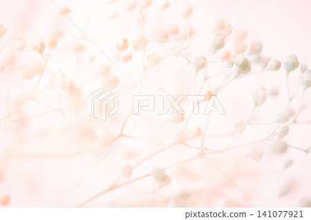 Baby's Breath - Delicate Background Material Baby's Breath - Delicate Background Material 141077921