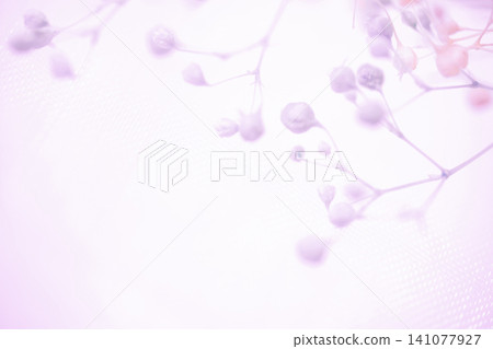Baby's Breath - Delicate Background Material Baby's Breath - Delicate Background Material 141077927