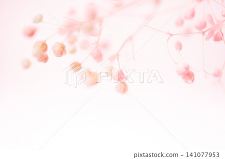 Baby's Breath - Delicate Background Material Baby's Breath - Delicate Background Material 141077953