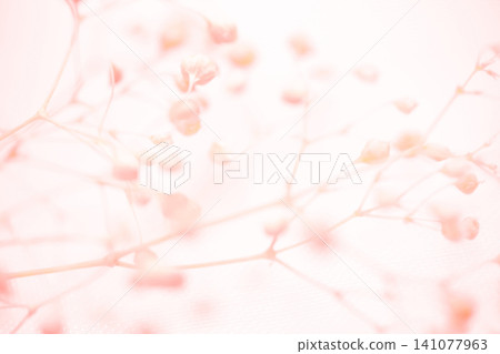 Baby's Breath - Delicate Background Material Baby's Breath - Delicate Background Material 141077963