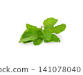Fresh mint leaves, isolated on white background. 141078040