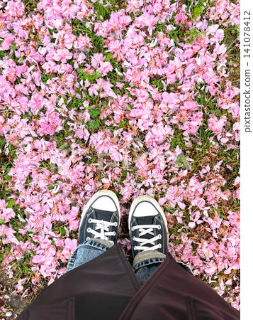 Spring blossom tranquility background with pink flower petals and female shoes top view. Spring blossom tranquility background with pink flower petals and female shoes top view. 141078412