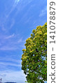 初夏時節，碧空如洗，綠樹成蔭，景色宜人。 141078879
