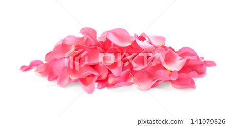 Pile of fresh pink rose petals on white background Pile of fresh pink rose petals on white background 141079826