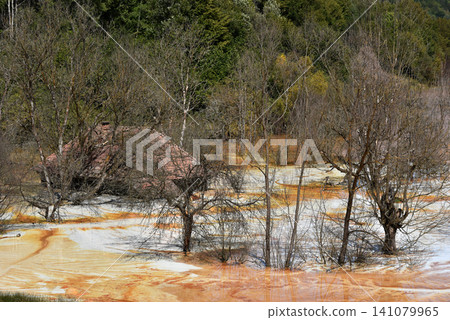 Sinking house in the ghost village of Geamana, Romania, choked of toxic mining residuals Sinking house in the ghost village of Geamana, Romania, choked of toxic mining residuals 141079965