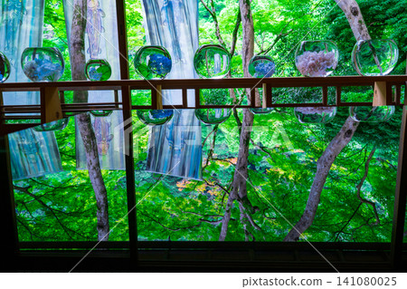 Dyed fabrics and green maple leaves reflected in a goldfish bowl at Yusai-tei in Arashiyama, Kyoto Dyed fabrics and green maple leaves reflected in a goldfish bowl at Yusai-tei in Arashiyama, Kyoto 141080025