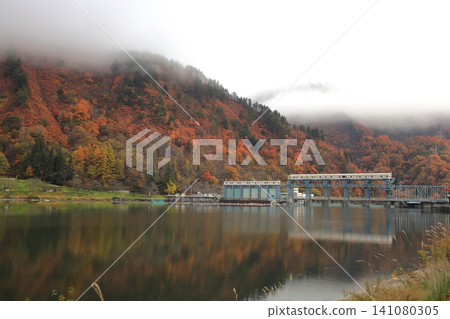只見川沿岸的紅葉和上田水壩 / 福島縣金山町 只見川沿岸的紅葉和上田水壩 / 福島縣金山町 141080305