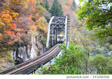 秋色漸濃,一列火車駛過只見線上的第四座只見川大橋。 秋色漸濃,一列火車駛過只見線上的第四座只見川大橋。 141080306