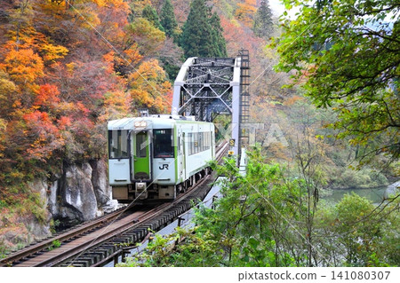 秋色漸濃,一列火車駛過只見線上的第四座只見川大橋。 秋色漸濃,一列火車駛過只見線上的第四座只見川大橋。 141080307