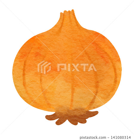 Simple watercolor-style illustration of an onion with the skin on. Simple watercolor-style illustration of an onion with the skin on. 141080314