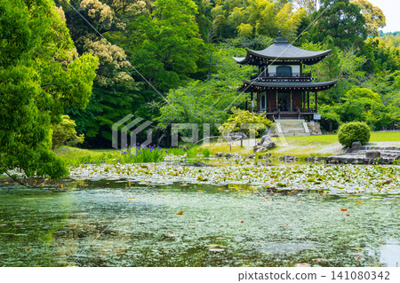京都市山科區觀音寺的庭園及觀音殿 141080342