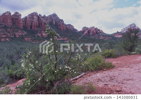 Sedona's Seven Soldiers Path Trail 141080831