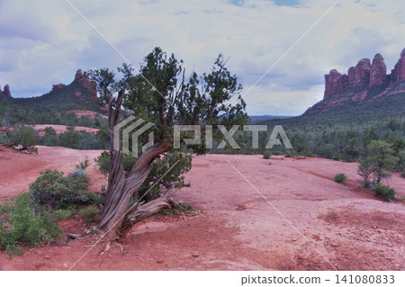 Sedona's Seven Soldiers Path Trail Sedona's Seven Soldiers Path Trail 141080833