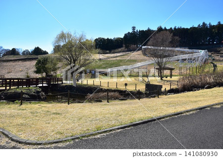 神奈川縣：小田原諦訪之原縣立公園的陽光山丘步道與滾筒滑梯 141080930