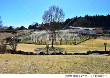 Kanagawa Prefecture: Sunny hill and roller slide at Odawara Suwanohara Park 141080935