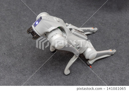 Education Robot Dog Moving Education Robot Dog Moving 141081065