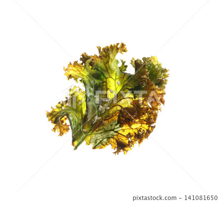 Tasty baked kale chip isolated on white Tasty baked kale chip isolated on white 141081650