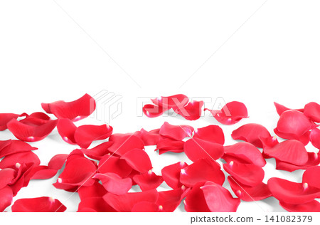 Fresh red rose petals on white background Fresh red rose petals on white background 141082379