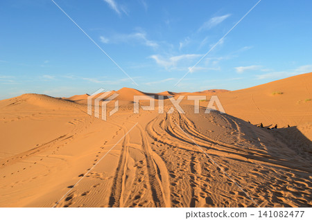 Morocco's Sahara Desert: Golden sand dunes in the morning, marked by footprints and tire tracks (Merzouga) Morocco's Sahara Desert: Golden sand dunes in the morning, marked by footprints and tire tracks (Merzouga) 141082477