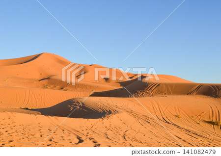 Morocco's Sahara Desert: The red dunes of Erg Chebbi bathed in the evening light. Morocco's Sahara Desert: The red dunes of Erg Chebbi bathed in the evening light. 141082479