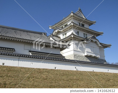 Chiba Prefectural Sekiyado Castle Museum at Tobu Zoo in Chiba Prefecture 141082612