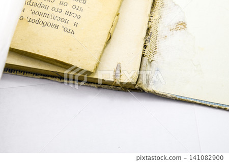 Pest books and newspapers. Insect feeding on paper - silverfish Pest books and newspapers. Insect feeding on paper - silverfish 141082900