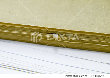 Silverfish is crushed by pages of the book. Pest books and newspapers. Insect feeding on paper - silverfish Silverfish is crushed by pages of the book. Pest books and newspapers. Insect feeding on paper - silverfish 141082909