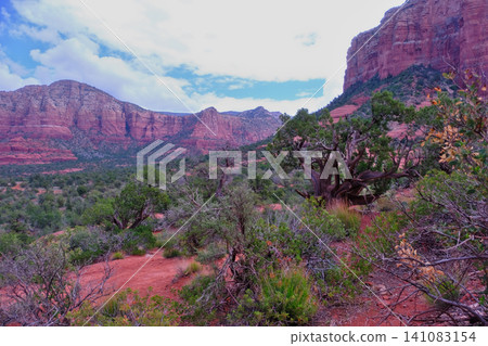 View from Bell Rock Trail in Sedona 141083154