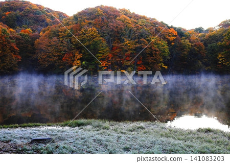 Autumn leaves at Magarizawa Swamp in Urabandai Autumn leaves at Magarizawa Swamp in Urabandai 141083203
