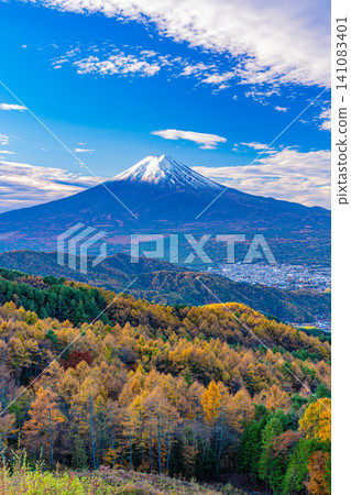 [Yamanashi Prefecture] Larch trees in autumn colors and Mount Fuji 141083401