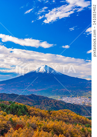 [Yamanashi Prefecture] Larch trees in autumn colors and Mount Fuji 141083402