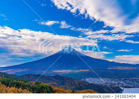 [Yamanashi Prefecture] Larch trees in autumn colors and Mount Fuji 141083404