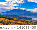 [Yamanashi Prefecture] Larch trees in autumn colors and Mount Fuji 141083405